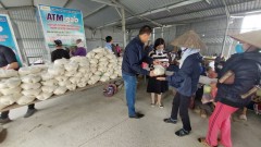 18 FEB 2023 BABEENI RICE DISTRIBUTING RICE AT HAI DUONG AND LAO CAI FACTORIES