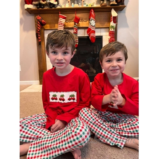 Cute two brother in Christmas clothing